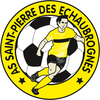 logo du club ASSOCIATION SPORTIVE DE SAINT PIERRE
