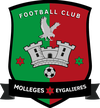 Logo du club