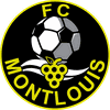 logo du club FC Montlouis