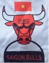 logo du club Saigon Bulls