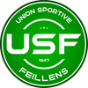 logo du club Union Sportive Feillens