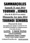Tournois du samedi 31 mai 2014 et dimanche 1er juin 2014