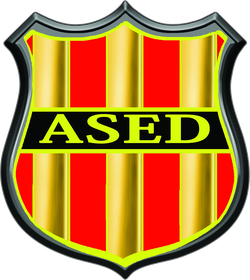 logo du club ASSOCIATION SPORTIVE ENTENTE DIONYSIENNE