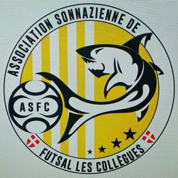 logo du club Association Sonnazienne de Futsal les Collègues