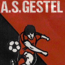 logo du club Association Sportive Gestel Feminine