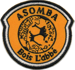 logo du club Association Sportive d'Outre Mer du Bois l'Abbé