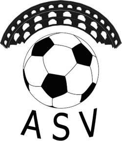 logo du club ASSOCIATION SPORTIVE VERSOISE 