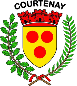logo du club avenir football club de Courtenay