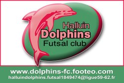 logo du club HALLUIN DOLPHINS FC