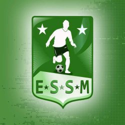 logo du club Étoile Sportive de Saint Maurice