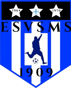 logo du club Entente Sportive Verdelais-St Maixant-Semens