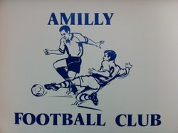 logo du club AMILLY FOOTBALL CLUB