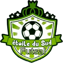 logo du club L'étoile du sud 