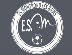 logo du club Etoile Sportive Montrondaise