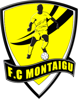 logo du club Football Club Montaigu