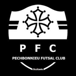 logo du club Pechbonnieu futsal club