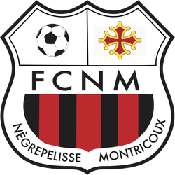 logo du club Football Club Nègrepelisse Montricoux
