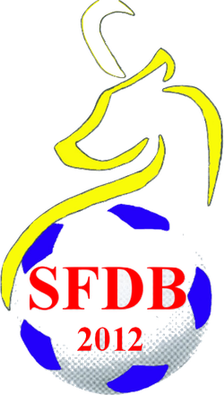 logo du club Section Foot Digne les Bains
