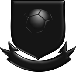logo du club SPORTING CLUB LODELINSART FUTSAL MAT : A07298