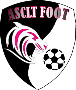 logo du club AS TIGERY FOOT