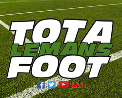 logo du club Totalemansfoot