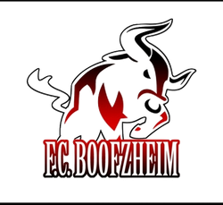 logo du club football club boofzheim