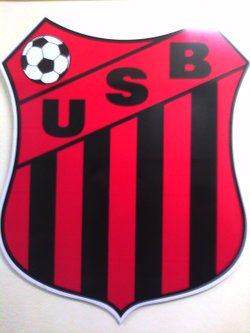 logo du club UNION  SPORTIVE  BRIONNAISE