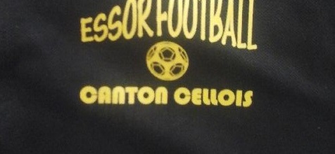 Essor Football Canton Cellois : site officiel du club de foot de CELLES SUR BELLE - footeo