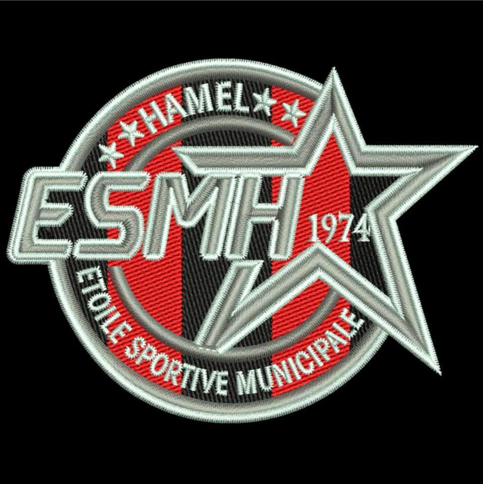 ESM Hamel logo