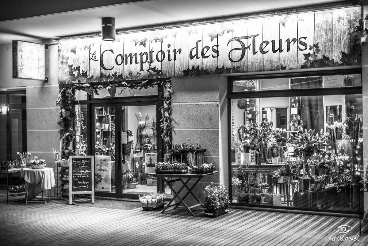 le comptoir des fleurs seynod 