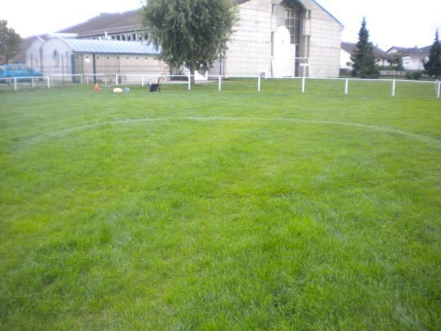 Actualité - OVNI SUR LE STADE DE LA FORET ????? -... - club Football FC RED  STAR RICHWILLER 1920 - Footeo