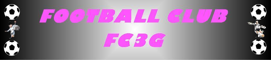 FC3G- FC GUELTAS ST GERAND ST GONNERY : site officiel du club de foot de PONTIVY - footeo