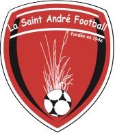 Match - GUERANDE ST AUBIN - SENIORS C - D4 - club Football La Saint ...