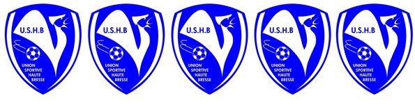 UNION SPORTIVE HAUTE BRESSE : site officiel du club de foot de ST TRIVIER DE COURTES - footeo