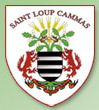 Veterans Saint Loup